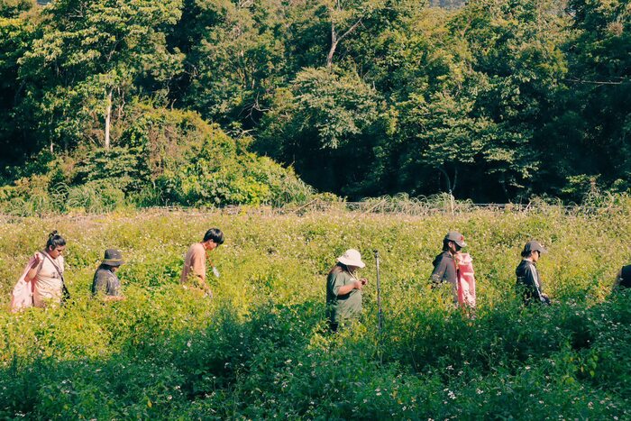 認真上課的大家圖片